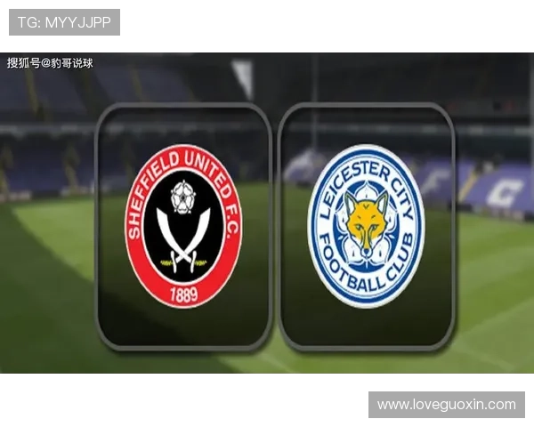 谢菲尔德星期三俱乐部的辉煌历史与未来展望：从成就到挑战的全景解析